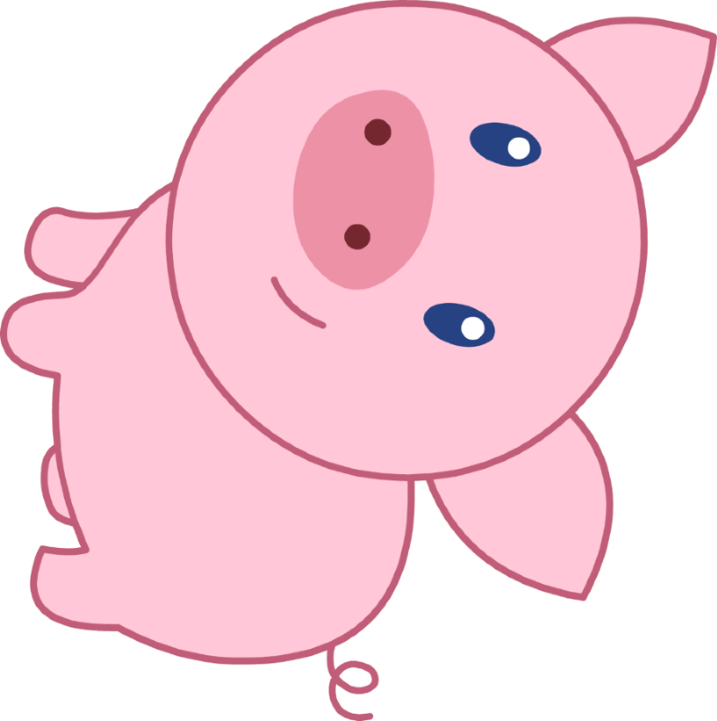 picture of a pig