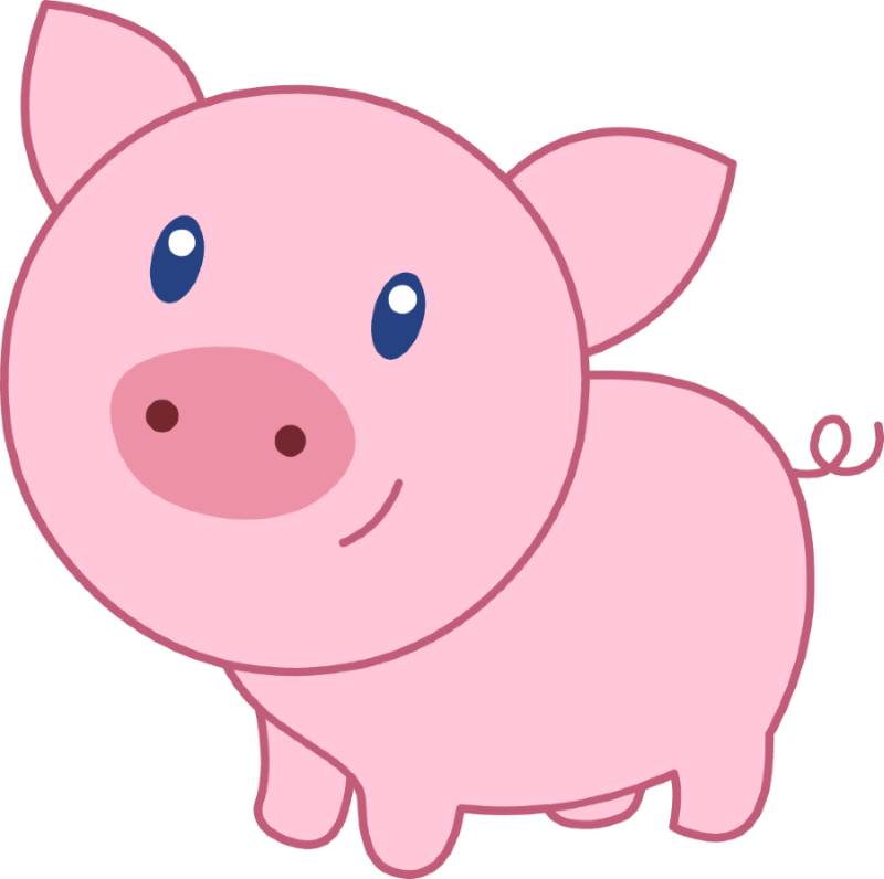 picture of a pig