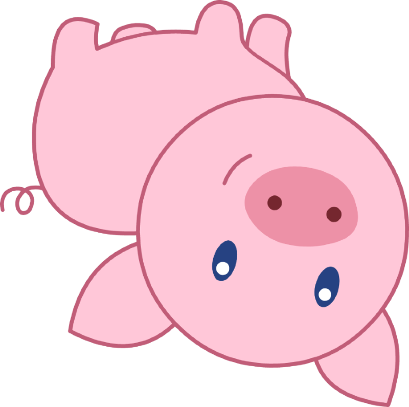 picture of a pig